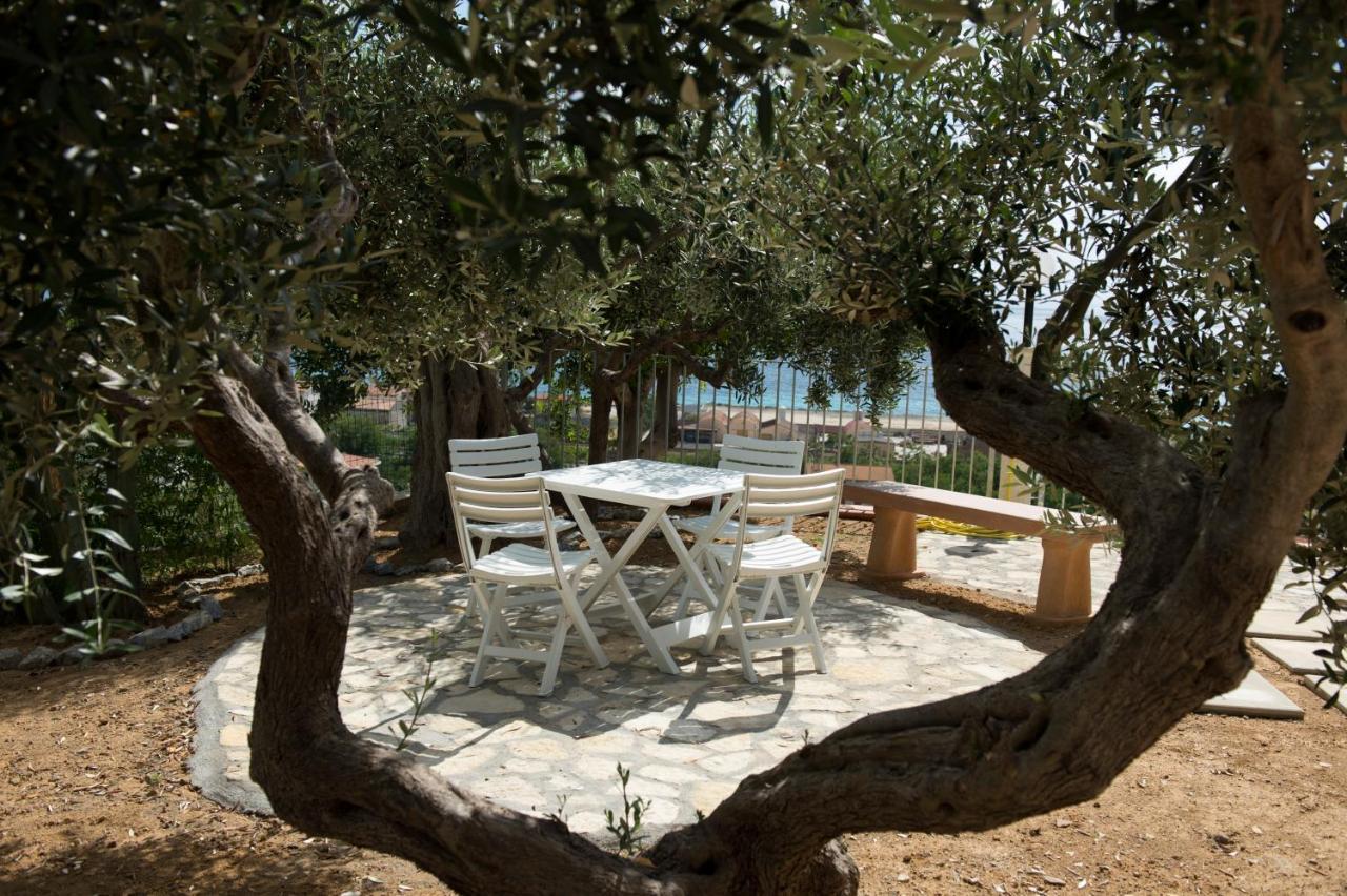 L'Ulivo Sul Mare Bed & Breakfast Cetraro Exterior photo